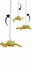 Load image into Gallery viewer, Spring Action Frog Baby Mobile